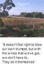 http://www.burrumboot.com/ - Mount Burrumboot - Tasting Notes On Australian & New Zealand wines
