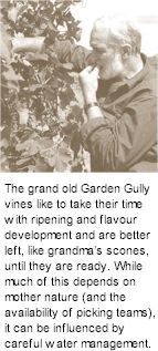http://www.gardengully.com.au/ - Garden Gully - Tasting Notes On Australian & New Zealand wines