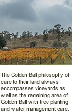 https://www.goldenball.com.au/ - Golden Ball - Tasting Notes On Australian & New Zealand wines
