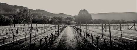 https://www.fallengiants.com.au/ - Halls Gap Estate - Tasting Notes On Australian & New Zealand wines