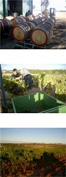 http://www.kalleske.com/ - Kalleske - Tasting Notes On Australian & New Zealand wines