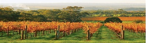 http://www.pennyshill.com.au/ - Pennys Hill - Tasting Notes On Australian & New Zealand wines