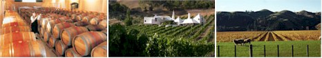 http://www.temata.co.nz/ - Te Mata - Tasting Notes On Australian & New Zealand wines