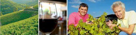 http://www.duboeuf.com/ - Georges Duboeuf - Tasting Notes On Australian & New Zealand wines
