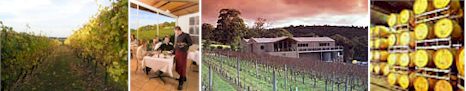http://www.paringaestate.com.au/ - Paringa Estate - Tasting Notes On Australian & New Zealand wines