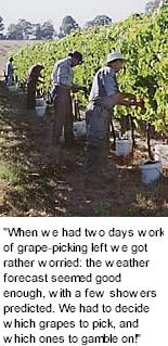 http://www.sarsfieldestate.com.au/ - Sarsfield Estate - Tasting Notes On Australian & New Zealand wines