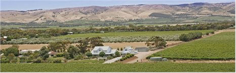 http://aramisvineyards.com/ - Aramis - Tasting Notes On Australian & New Zealand wines