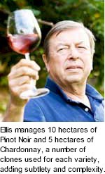 http://www.bellvalewine.com.au/ - Bellvale - Tasting Notes On Australian & New Zealand wines