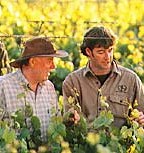 http://www.brooklandvalley.com.au/ - Brookland Valley - Tasting Notes On Australian & New Zealand wines