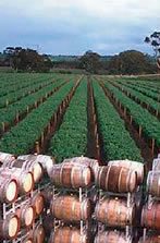 http://www.charlesmeltonwines.com.au/ - Charles Melton - Tasting Notes On Australian & New Zealand wines