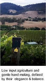 http://www.chwine.com.au/ - Clarence House - Tasting Notes On Australian & New Zealand wines