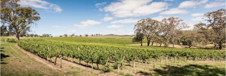 https://www.howardvineyard.com/ - Howard Vineyard - Tasting Notes On Australian & New Zealand wines