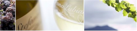 http://www.slw.com.au/ - Stefano Lubiana - Tasting Notes On Australian & New Zealand wines