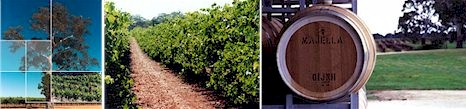 http://www.majellawines.com.au/ - Majella - Tasting Notes On Australian & New Zealand wines