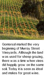 http://www.murraystreet.com.au/ - Murray Street - Tasting Notes On Australian & New Zealand wines