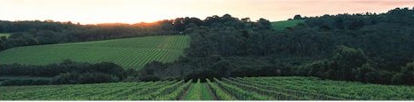 http://www.willow-creek.com.au/ - Willow Creek - Tasting Notes On Australian & New Zealand wines
