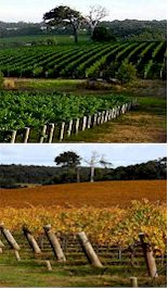 http://www.woodlandswines.com/ - Woodlands - Tasting Notes On Australian & New Zealand wines