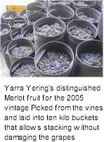 http://www.yarrayering.com/ - Yarra Yering - Tasting Notes On Australian & New Zealand wines