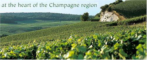 http://www.champagne-bollinger.fr/ - Bollinger - Tasting Notes On Australian & New Zealand wines