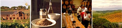http://www.chapelhillwine.com.au/ - Chapel Hill - Tasting Notes On Australian & New Zealand wines