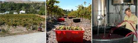 http://www.crabtreewines.com.au/ - Crabtree - Tasting Notes On Australian & New Zealand wines