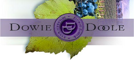 https://www.dowiedoole.com/ - Dowie Doole - Tasting Notes On Australian & New Zealand wines