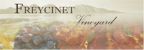 http://www.freycinetvineyard.com.au/ - Freycinet - Tasting Notes On Australian & New Zealand wines