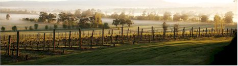 http://www.mountmary.com.au/ - Mount Mary - Tasting Notes On Australian & New Zealand wines