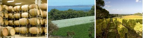 http://www.portphillip.net/ - Port Phillip Estate - Tasting Notes On Australian & New Zealand wines
