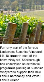 http://www.scarboroughwine.com.au/ - Scarborough - Tasting Notes On Australian & New Zealand wines