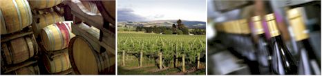 http://www.sherwood.co.nz/ - Sherwood Estate - Tasting Notes On Australian & New Zealand wines