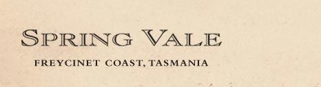 http://www.springvalewines.com/ - Spring Vale - Tasting Notes On Australian & New Zealand wines